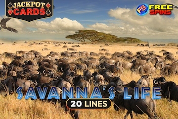 Savanna's Life